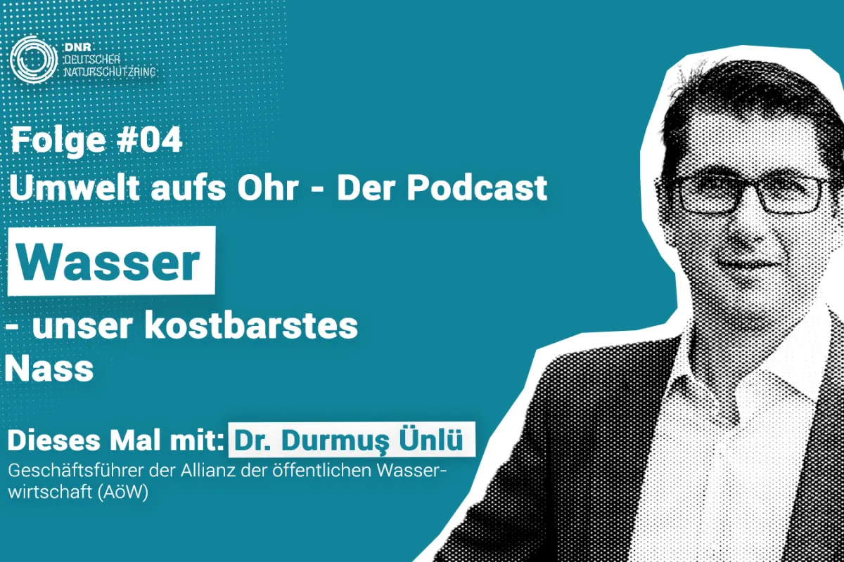 Wasser – unser kostbarstes Nass